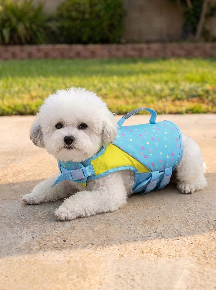 SplashDOGY color celeste
